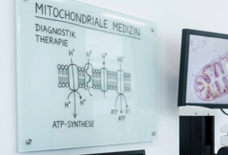 Ganzheitliche Diagnostik im Labor für mitochondriale Gesundheit und Stoffwechsel